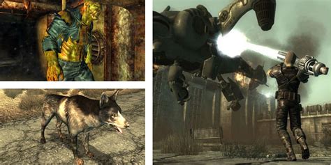 fallout 3 companions ranked|fallout 3 multiple companions.